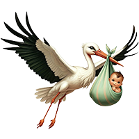 Spécial Naissance