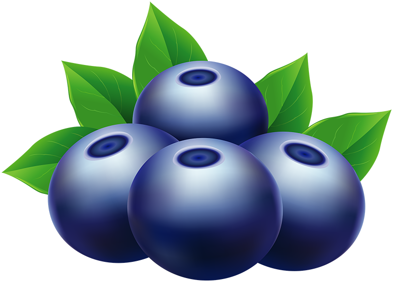 Blueberries_PNG_Clip_Art_Image-2058933910a.png