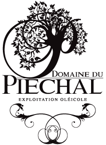 logo DDP-PIECHALs.png